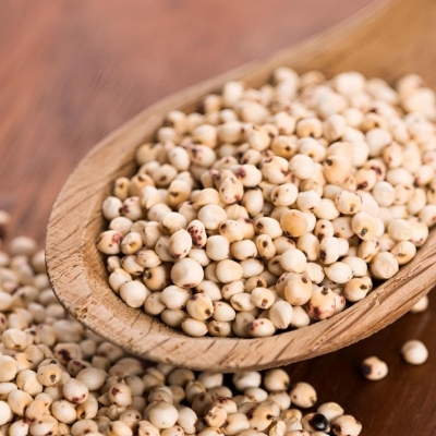 White Sorghum