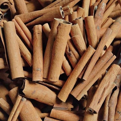 Cinnamon Stick