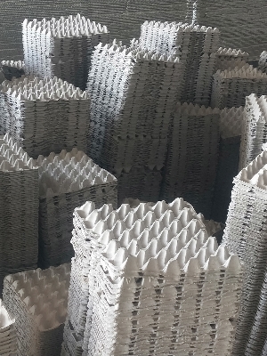 Disposable Paper Egg Tray