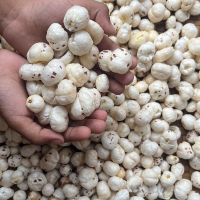White Makhana