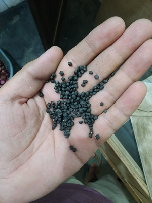 Black PP Granula