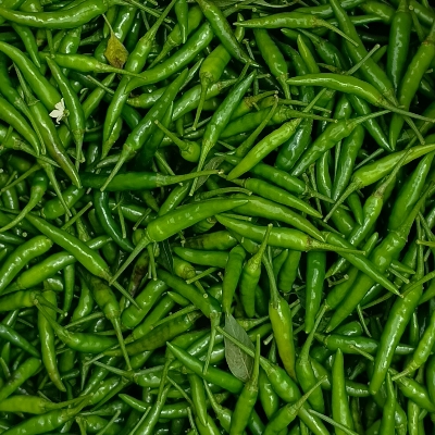 Green Chilli - Style: Seasoned