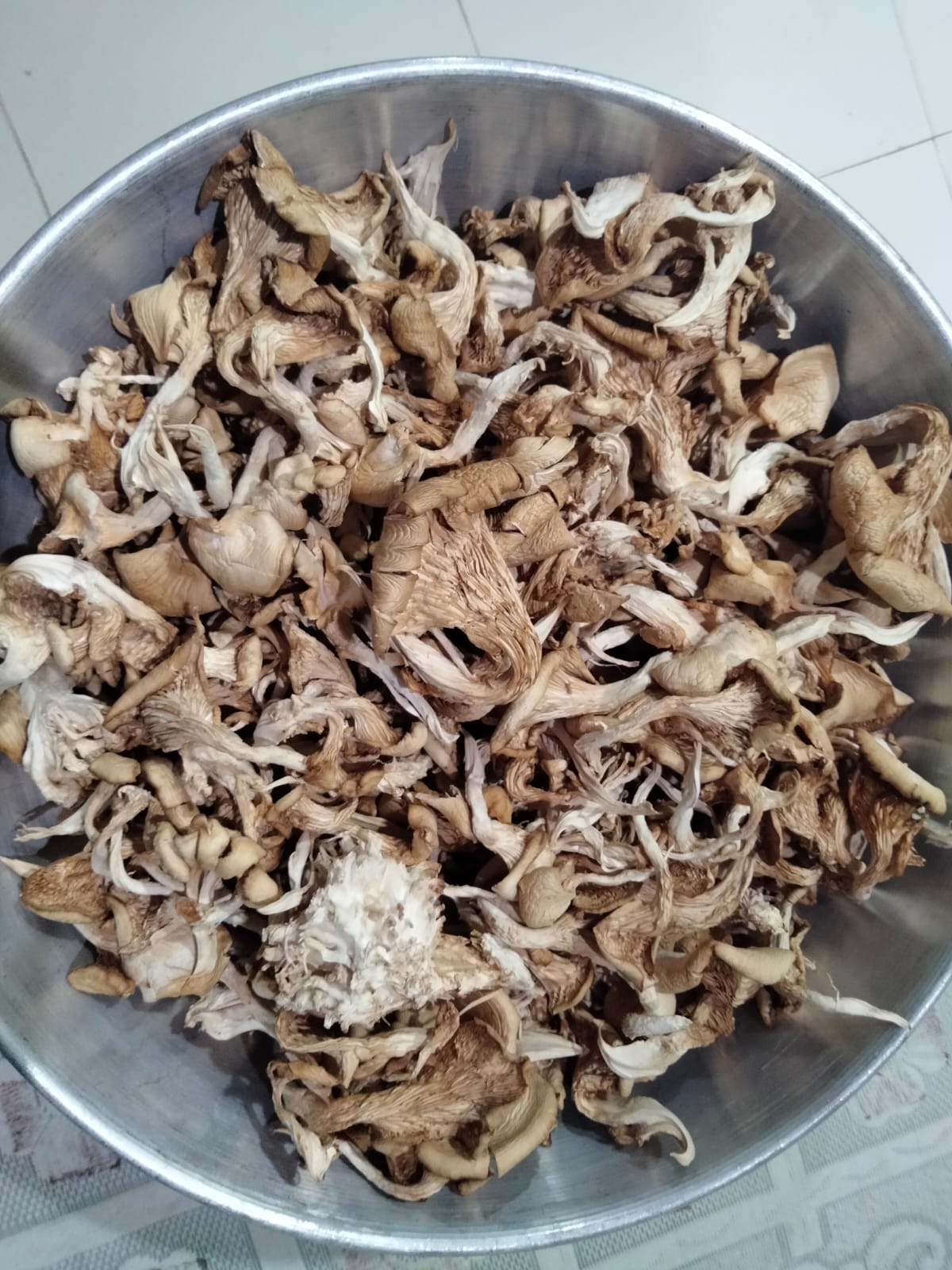 organic dry oyster mushrooms