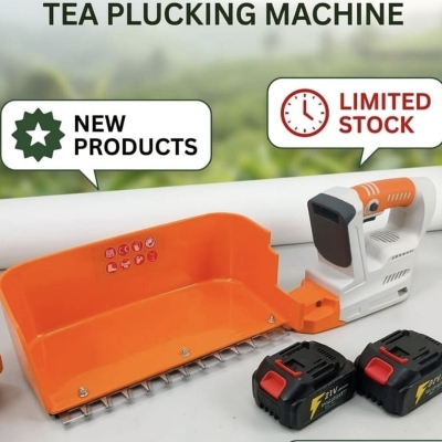 Tea Plucking Machine