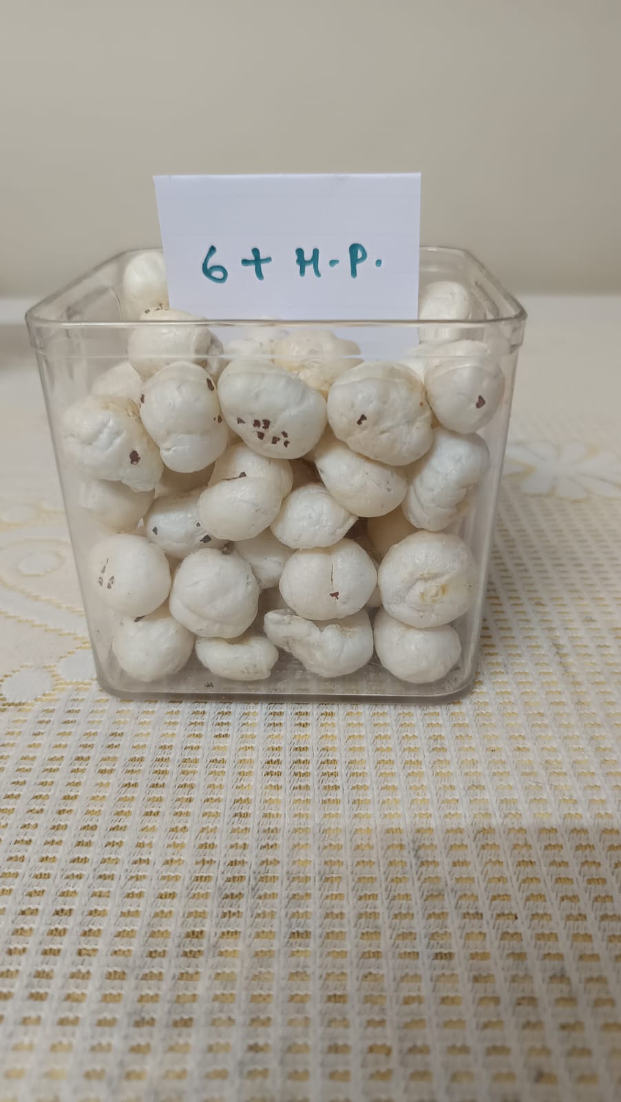 White Makhana - Cultivation Type: Common