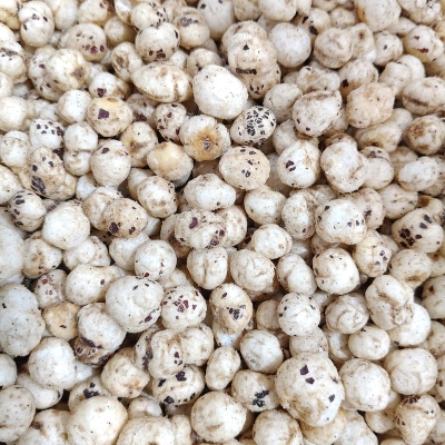 Fox Nut
