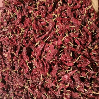 Kashmiri Chilly - Color: Red