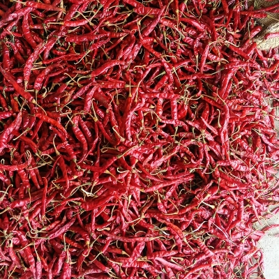 Teja Dry Red Chilli