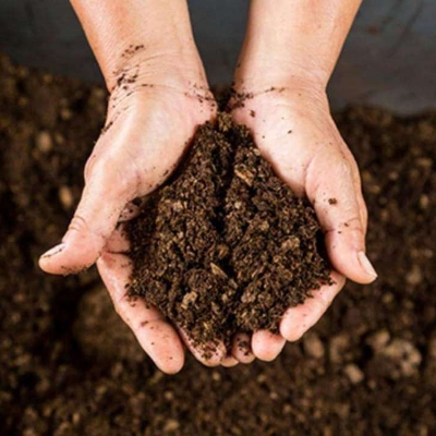 Organic Manure
