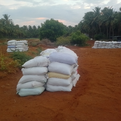 Natural Brown Cocopeat