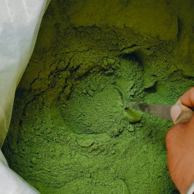 Organic Moringa Powder