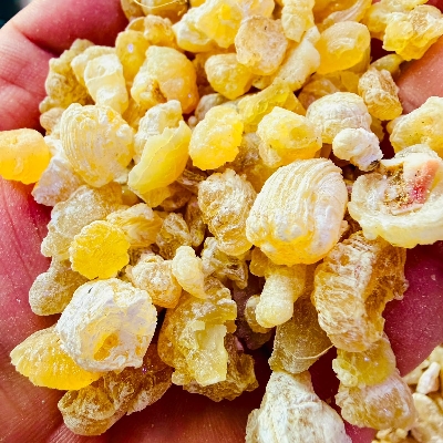 Acacia Gum