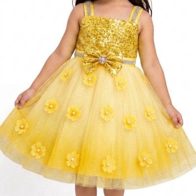 Baby Girl Party Wear Frock