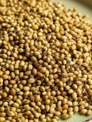 Corriander Seeds