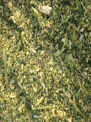Grit Green Corn Silage