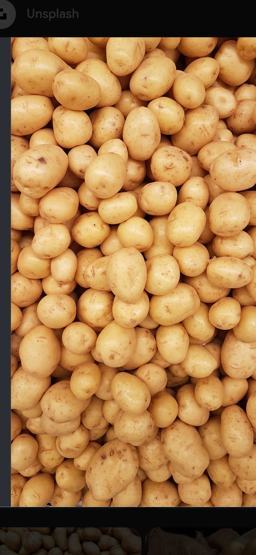 Fresh Potato