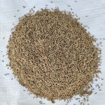 Cumin Seeds