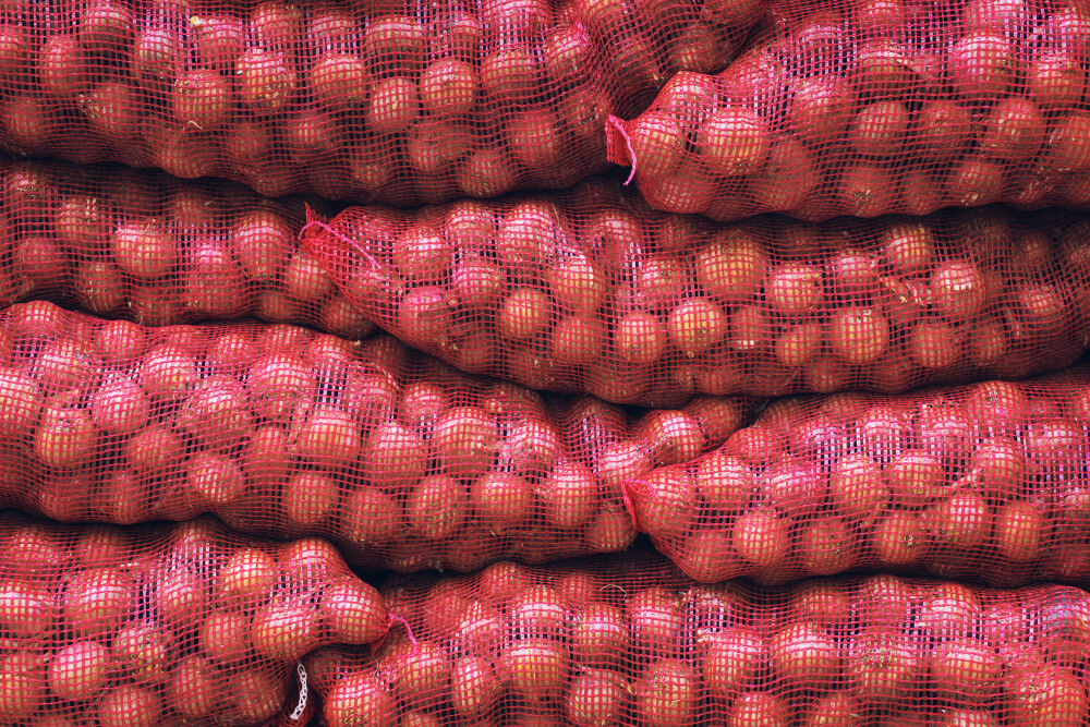 Fresh Red Onion