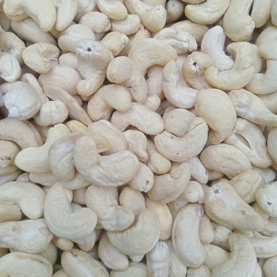 Cashew W240