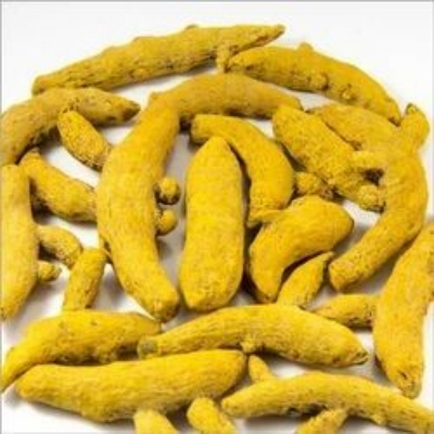 Fresh Yellow Turmeric - Natural Yellow-Orange Color, Firm Juicy Texture | Aromatic Earthy Flavor, Culinary Use, 12 Months Shelf Life