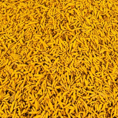 Pure Turmeric Figure