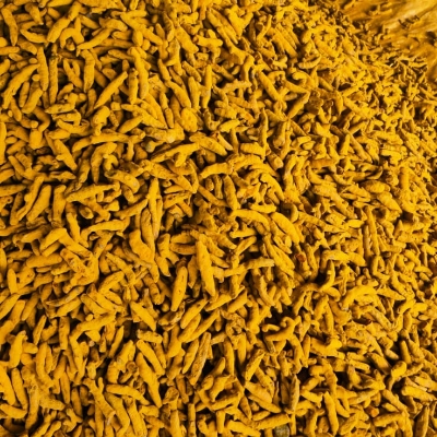 Pure Turmeric Fingers - Color: Yellow