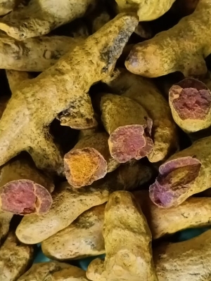 Yellow Turmeric Figure - Grade: A