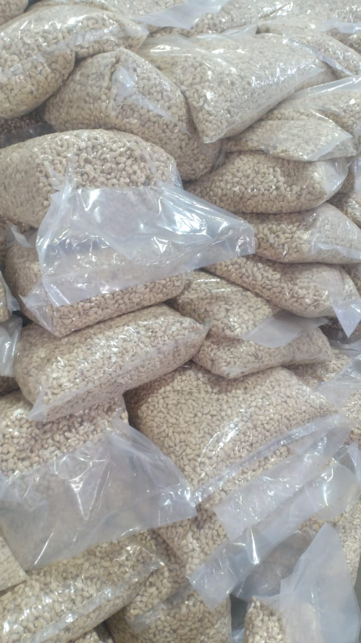 Cashew Nut