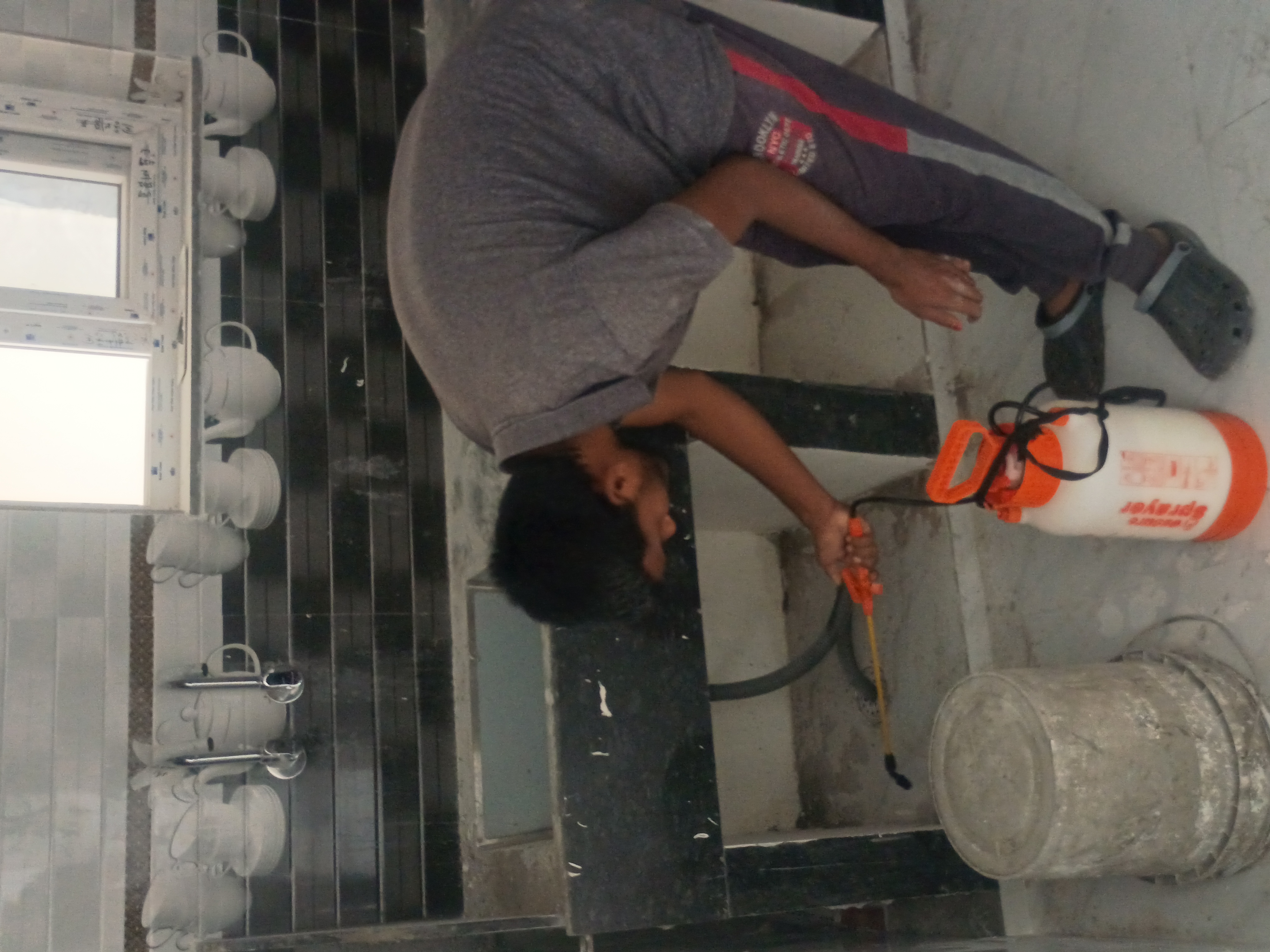Pest Control Service