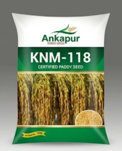 KNM 118 Certified Paddy Seeds