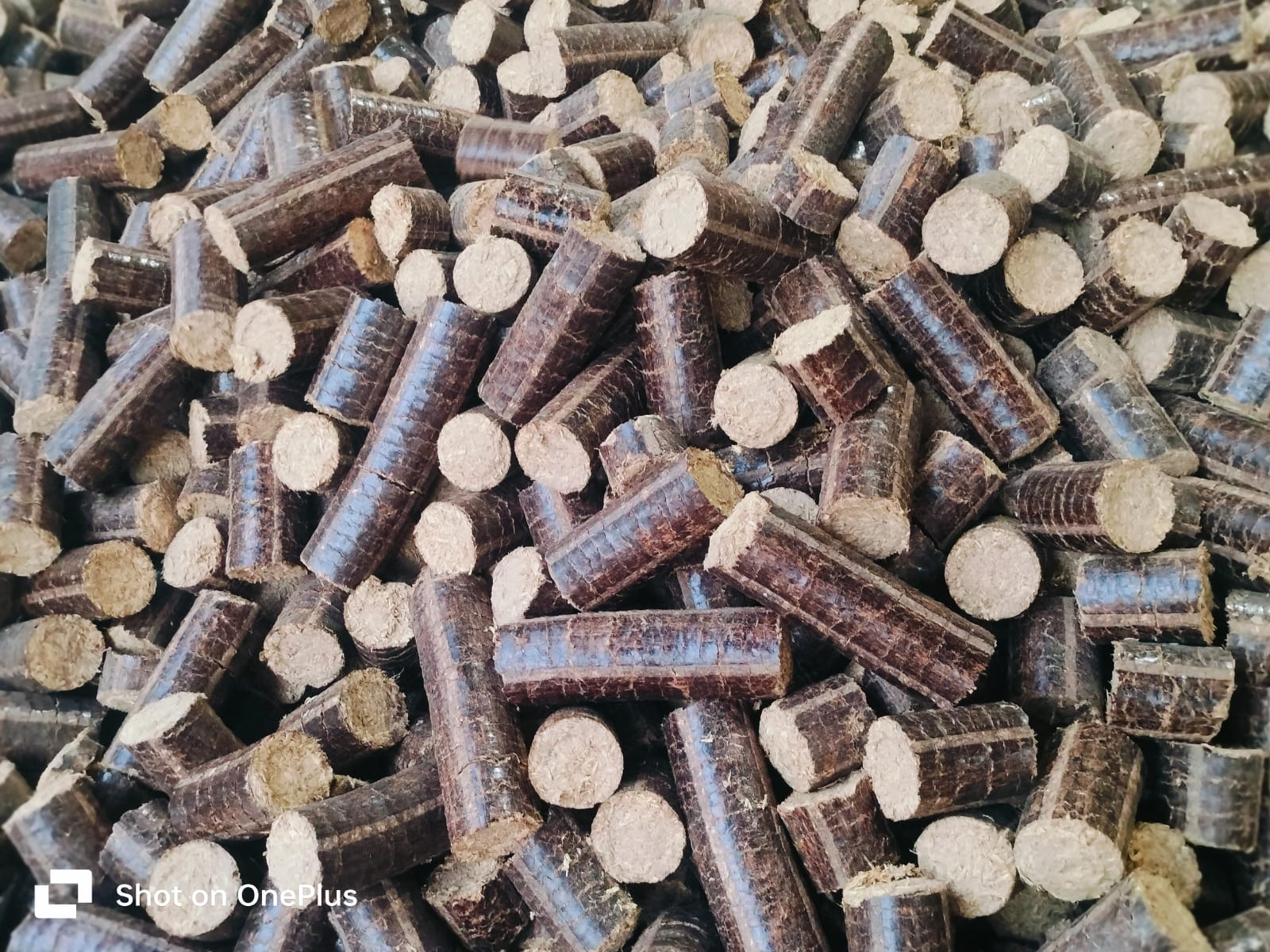Bio Mass Briquettes