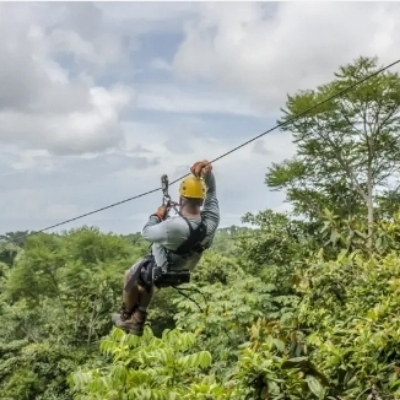 Zip Line