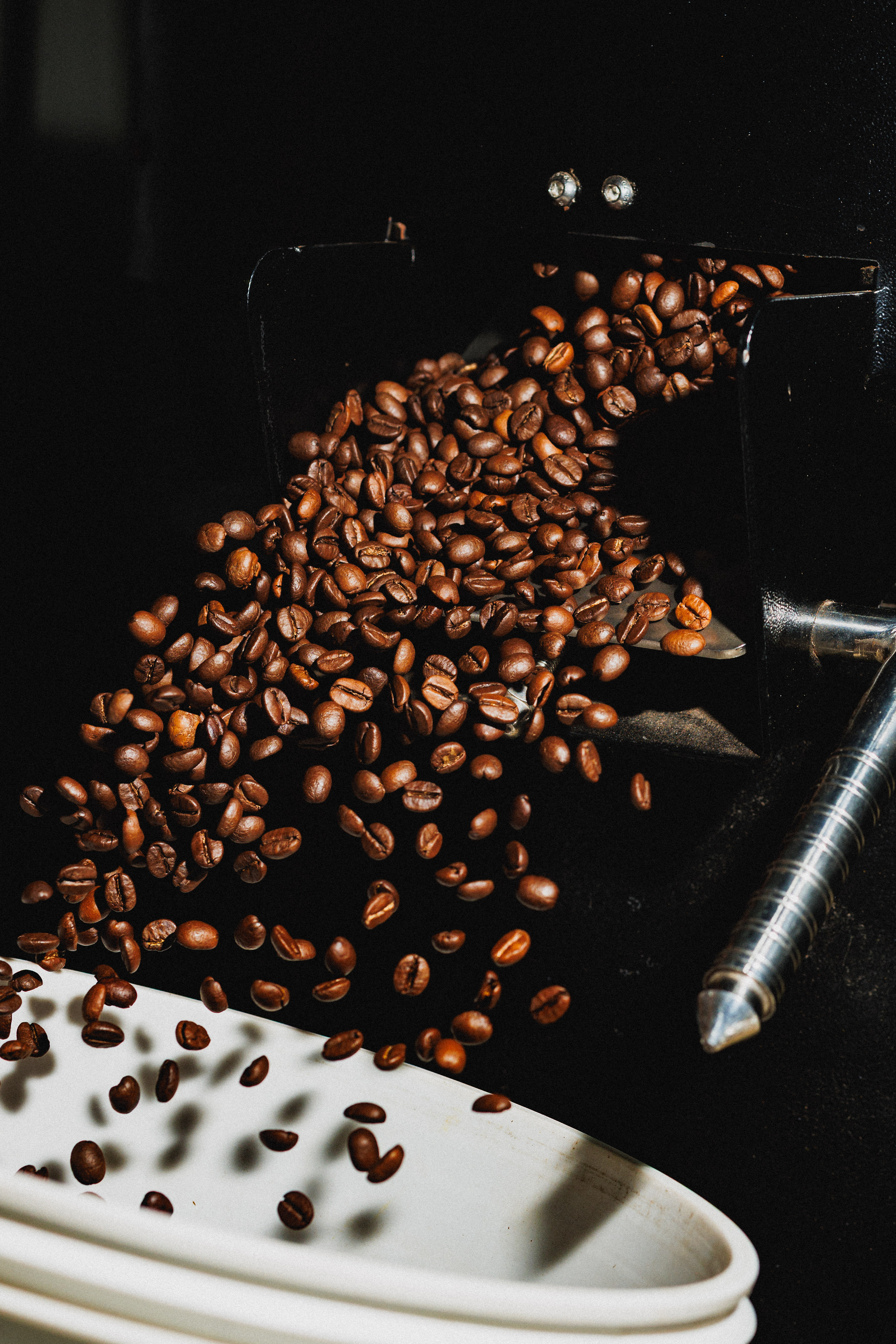 100% Arabica Beans