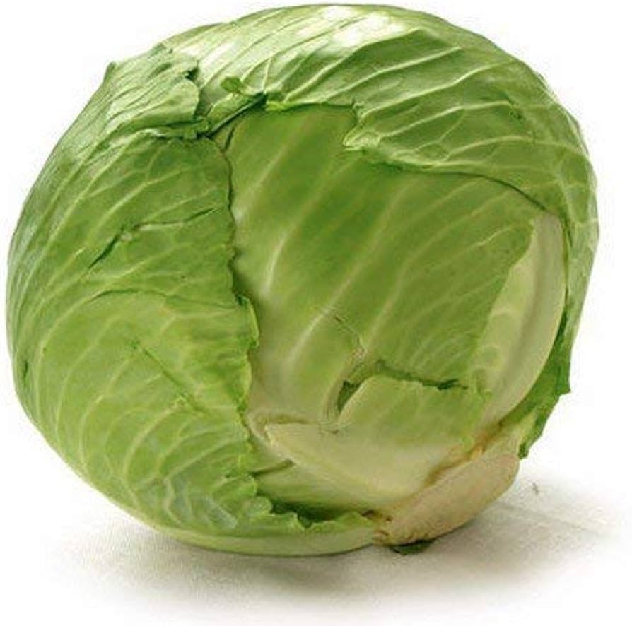 Cabbage fresh