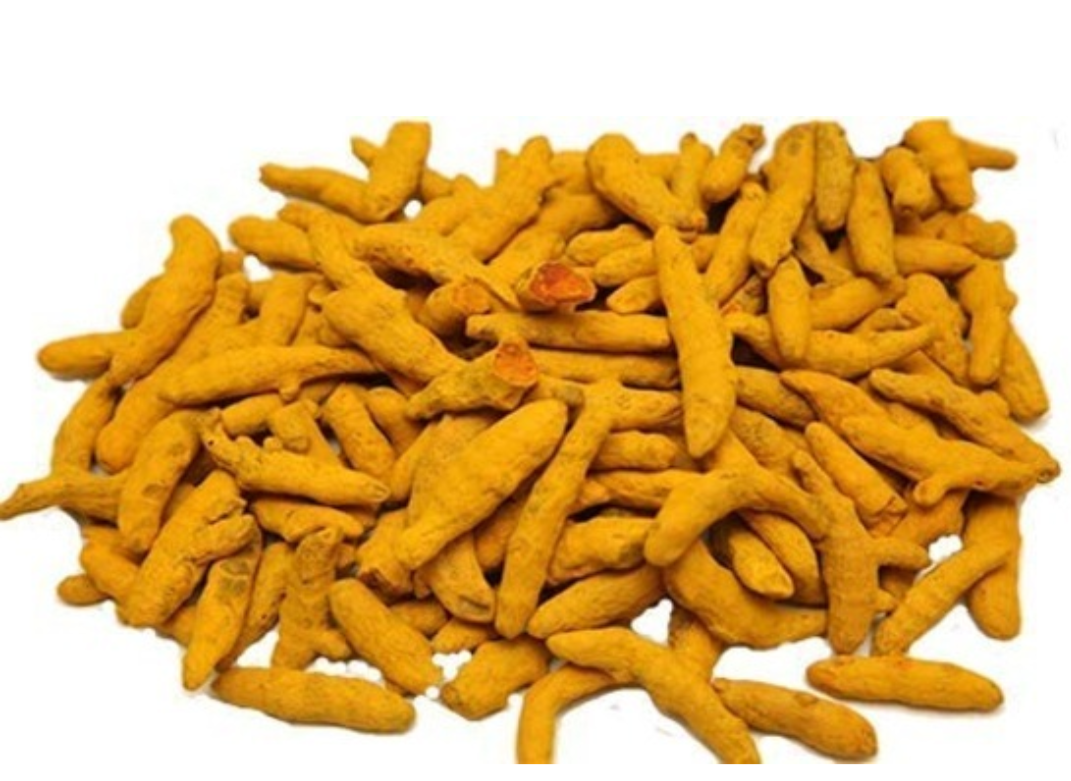 Finger Turmeric - Color: Yellow