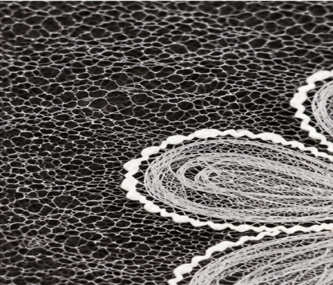 Black Net Base White Floral Embroidered Lace Fabric For Ladies Garments