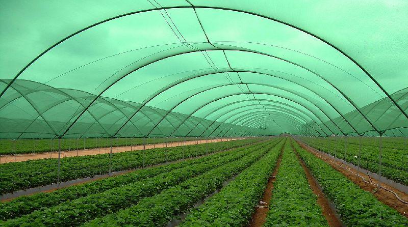 Green Shade Nets
