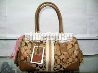 Light Weight Ladies Coach Bags