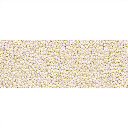 White Nutritious Hulled Sesame Seed