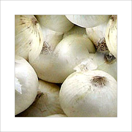 White Color Dried Onions