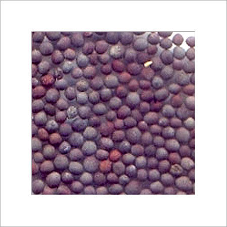 Black Mustard Seeds - Premium Quality, Nutty Flavor for Dressings & Sauces, Enhances Culinary Creations