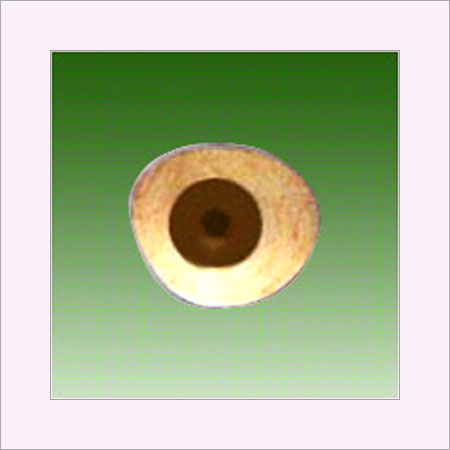 Natural Appearance Artificial Eye