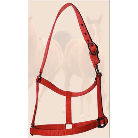 Red Color PP Halter With Buckles