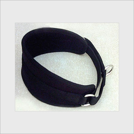 Dog Collars With Silver Buckles