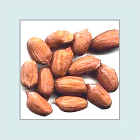 Hps Groundnut Peanuts