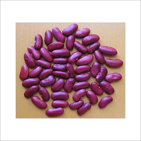 Fresh High Nutritional Kidney Beans