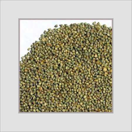 Green Color Bajra Seeds