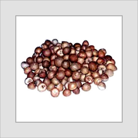 Common Brown Round Shape Betel Nuts