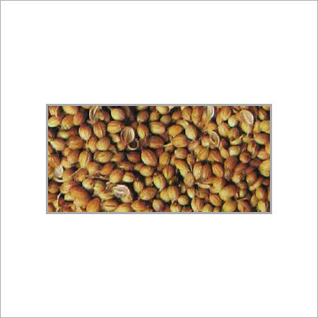 Coriander Seeds