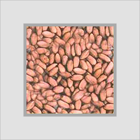 Groundnut Kernels